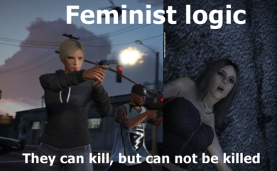 feminist logic
